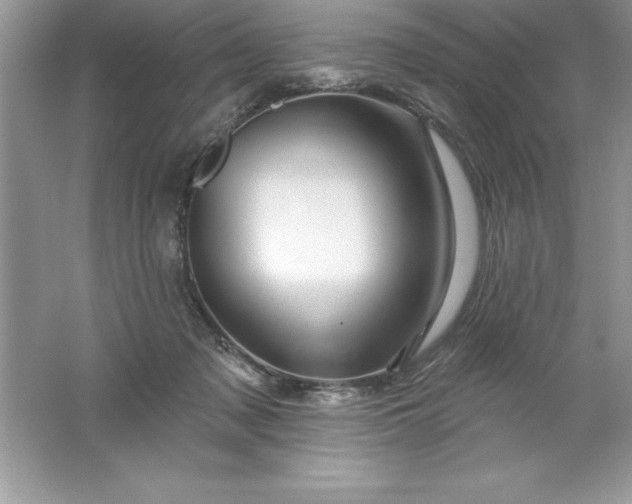 X0000061750317200512161724