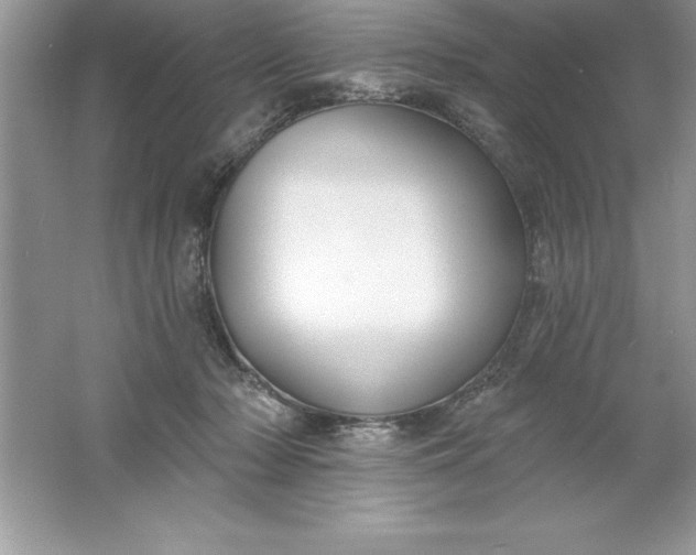 X0000061750318200512161724