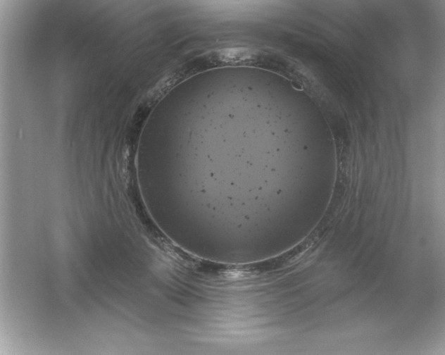 X0000061750319200512161724