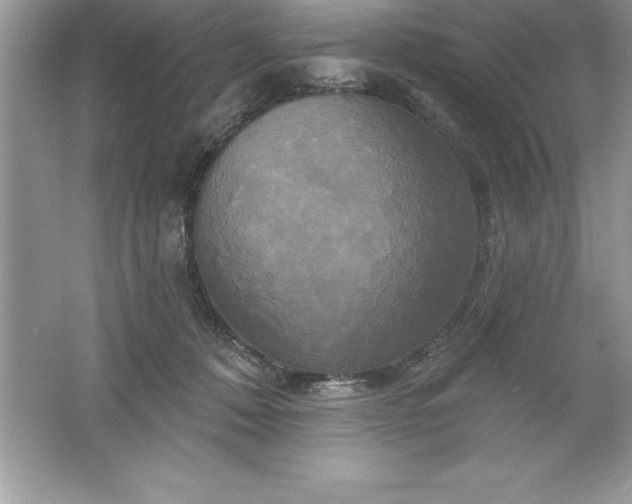 X0000061750320200512161724