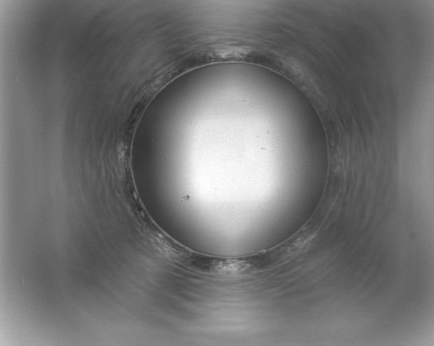 X0000061750321200512161723