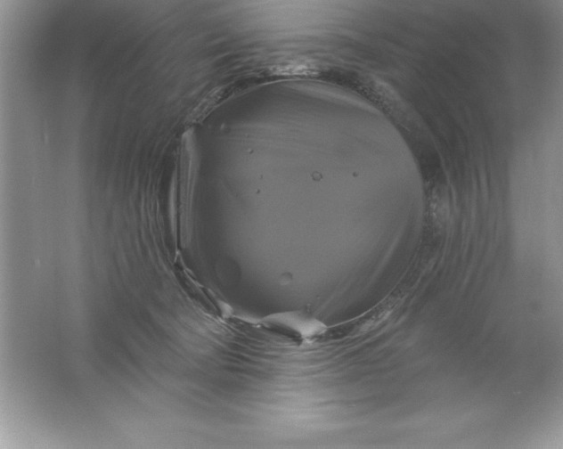 X0000061750322200512161723