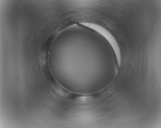 X0000061750323200512161723