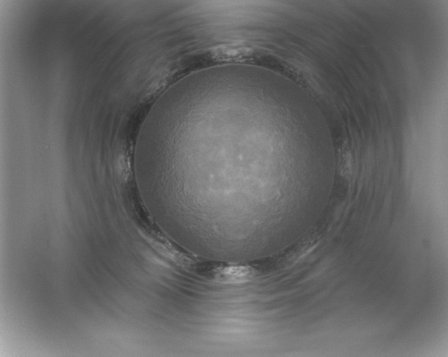 X0000061750324200512161723