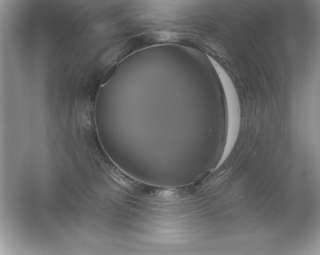 X0000061750325200512161723