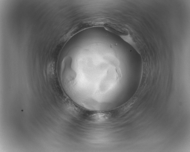 X0000061750326200512161723