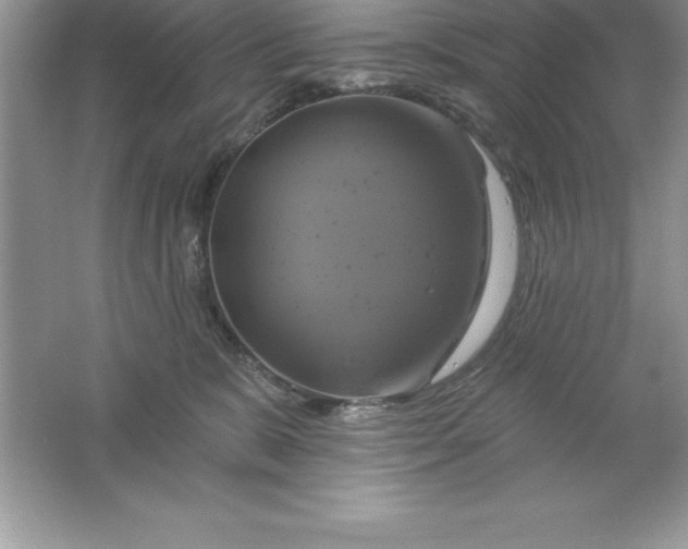 X0000061750327200512161723