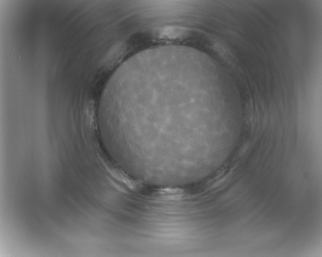 X0000061750328200512161723