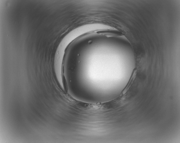 X0000061750329200512161723