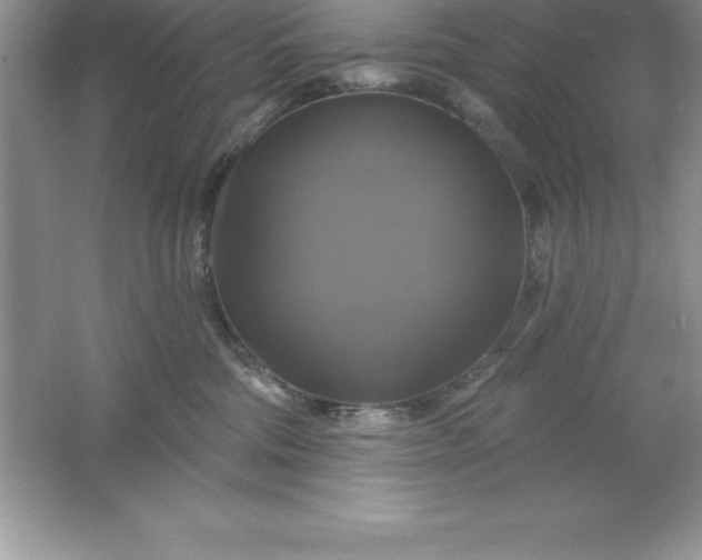 X0000061750330200512161723