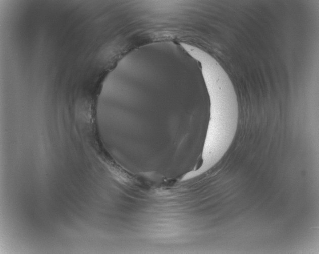 X0000061750331200512161723