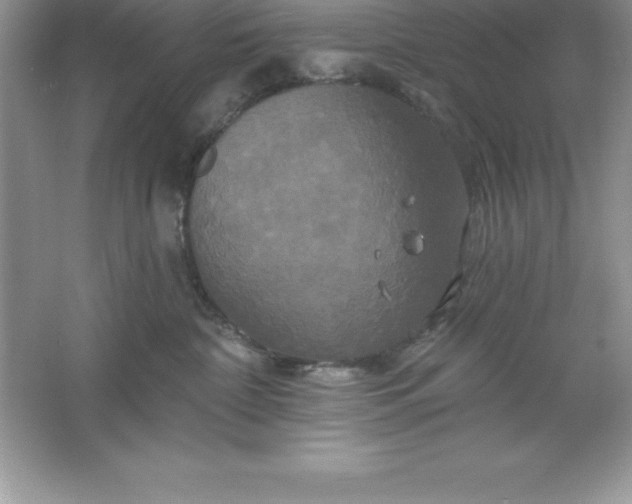 X0000061750332200512161723