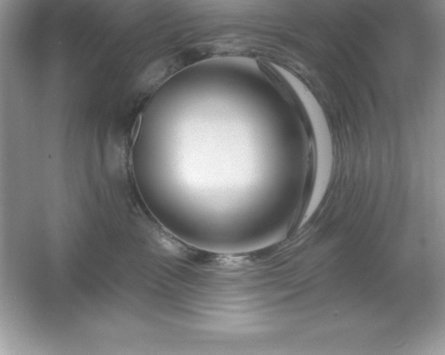 X0000061750333200512161723