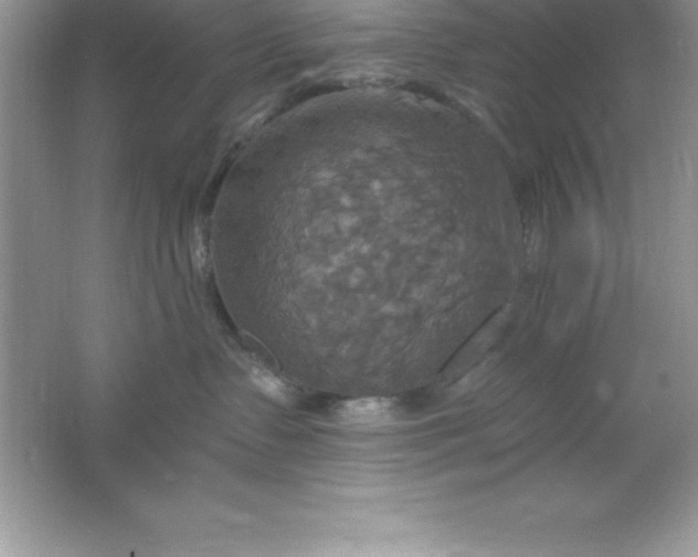 X0000061750335200512161723