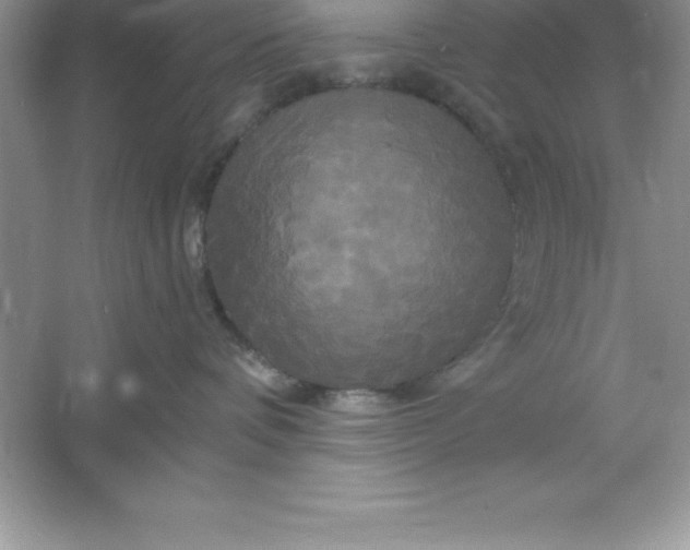 X0000061750336200512161723