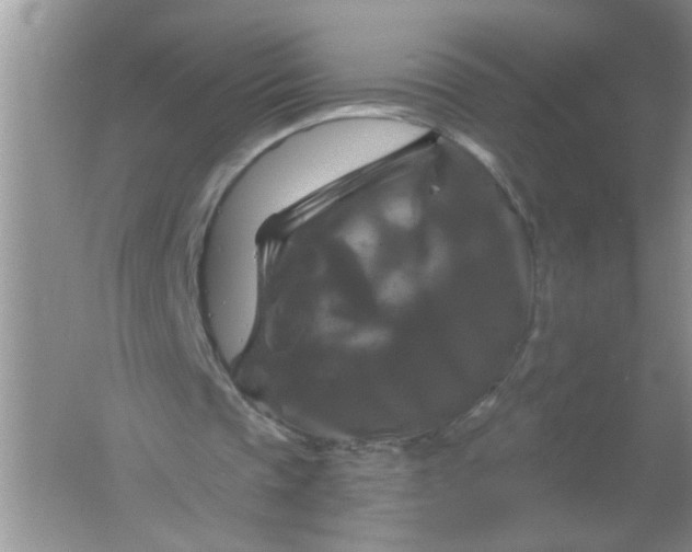 X0000061750337200512161722