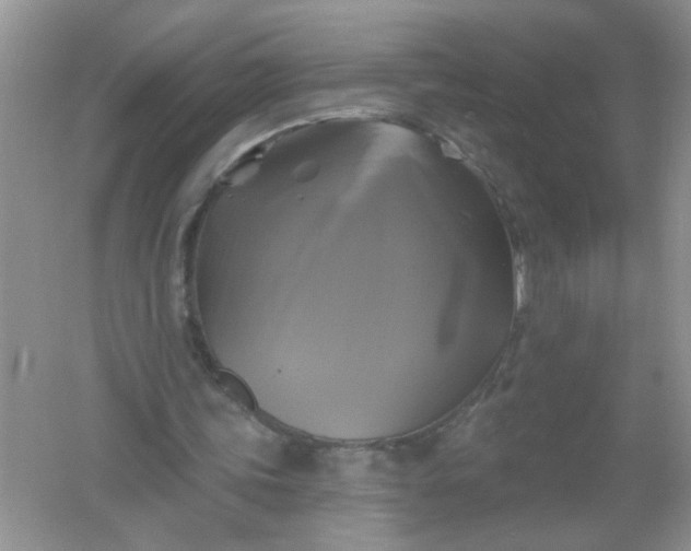 X0000061750339200512161722