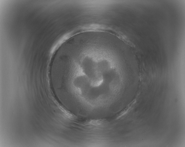 X0000061750341200512161722