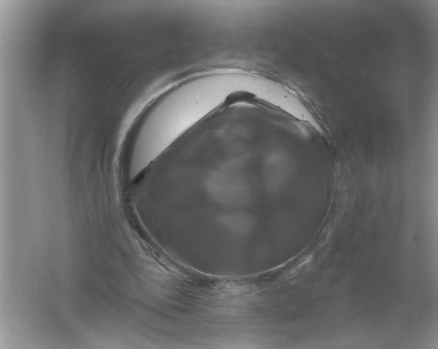 X0000061750343200512161723