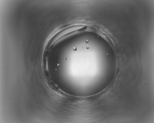 X0000061750344200512161723