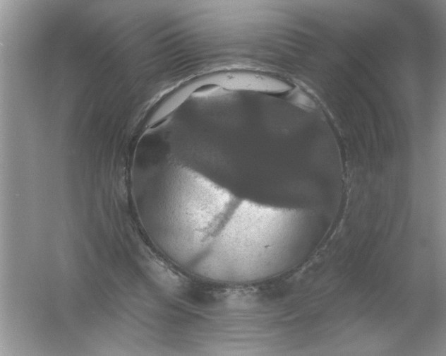 X0000061750345200512161723