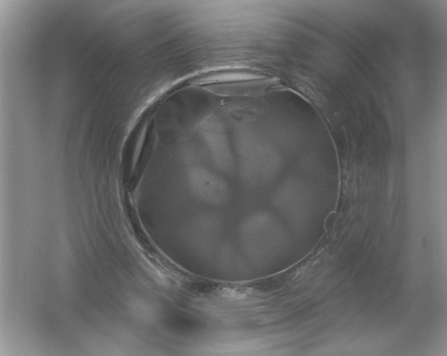 X0000061750346200512161723