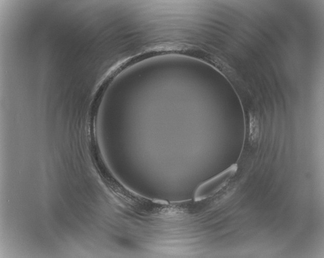 X0000061750348200512161723