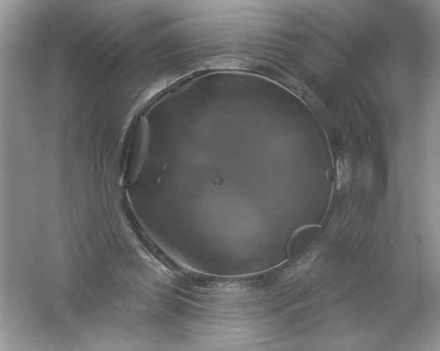 X0000061750349200512161723