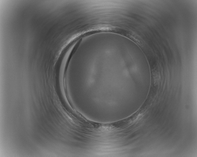 X0000061750350200512161723