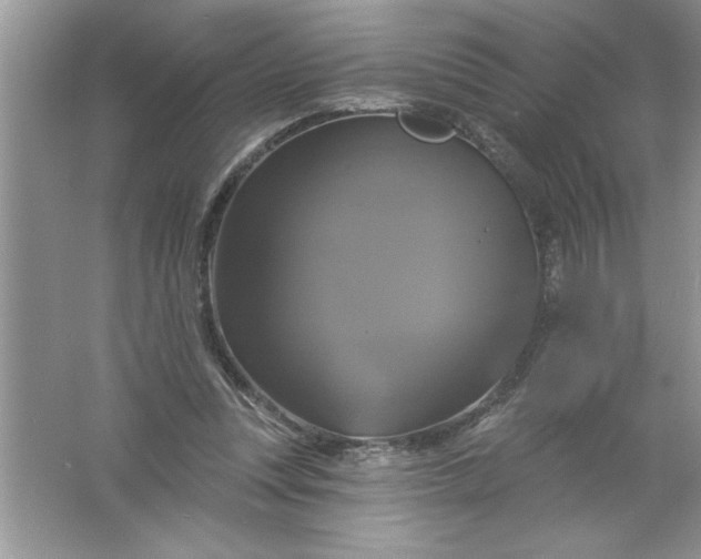 X0000061750351200512161723