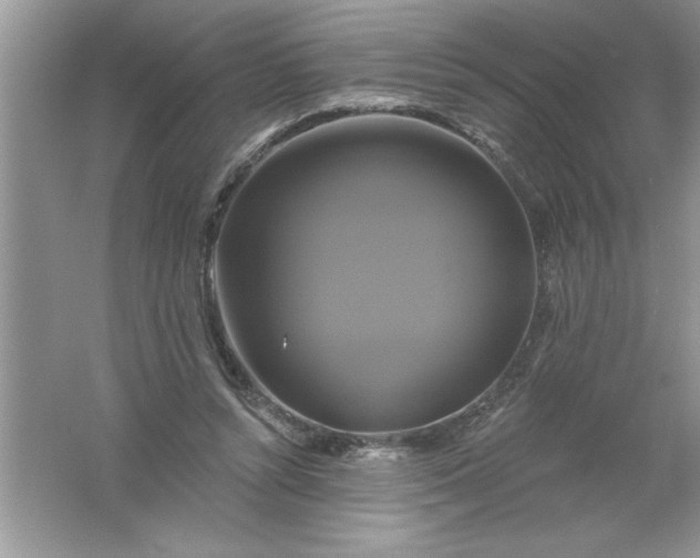 X0000061750352200512161723