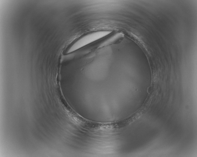 X0000061750353200512161723