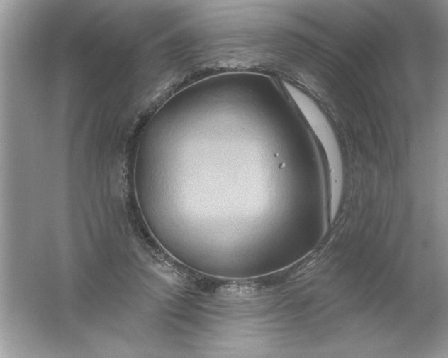 X0000061750354200512161723