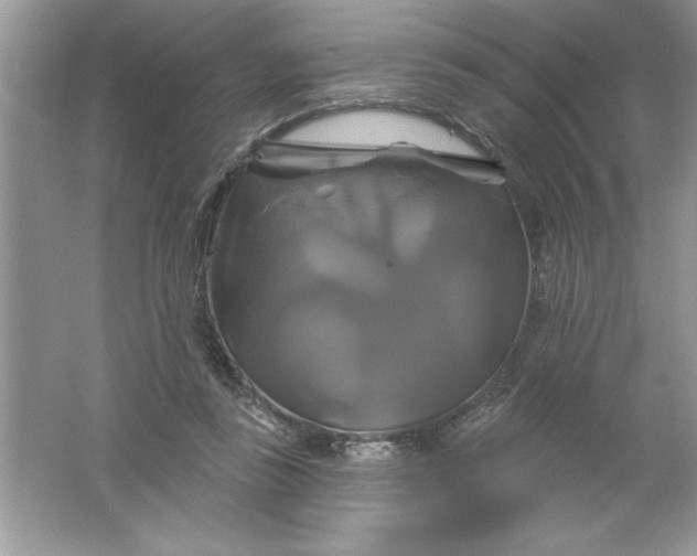 X0000061750355200512161723