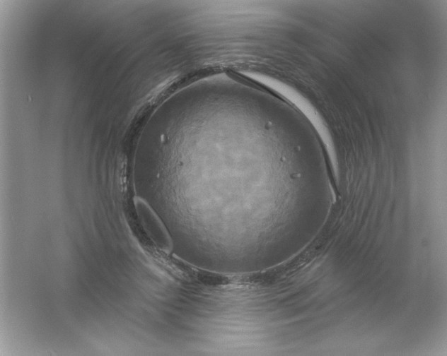 X0000061750356200512161723