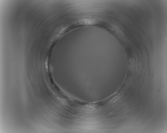 X0000061750358200512161723