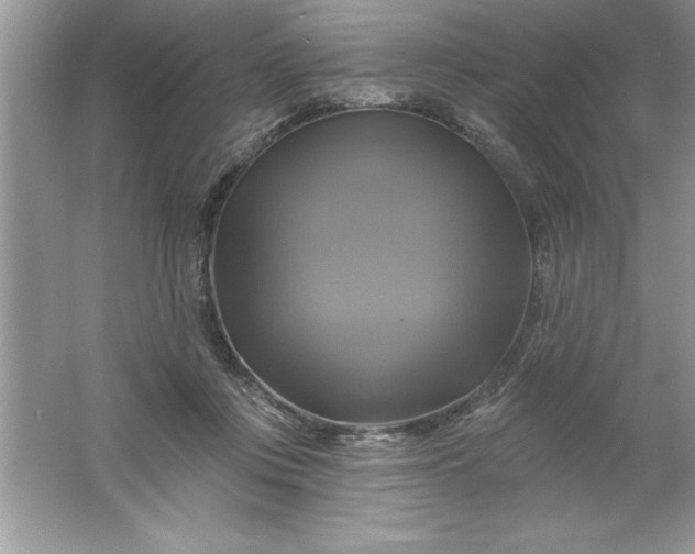 X0000061750359200512161723