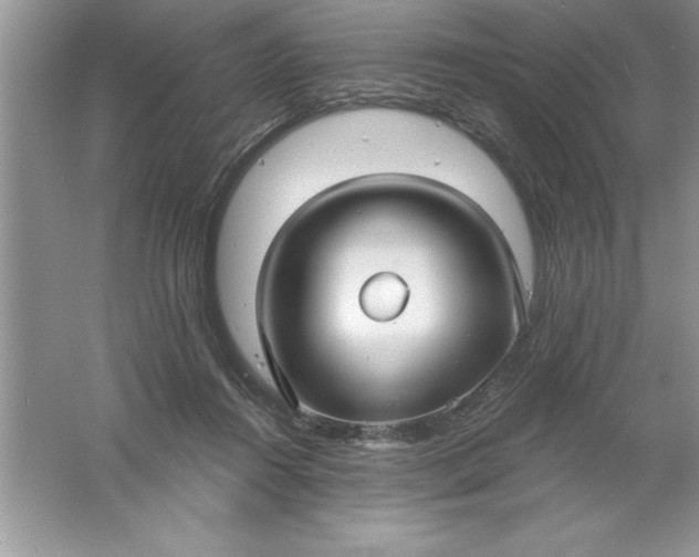 X0000061750360200512161723