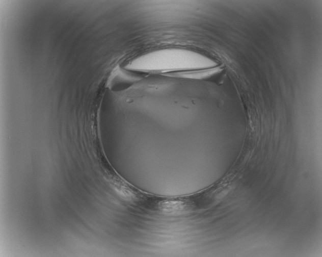 X0000061750361200512161723