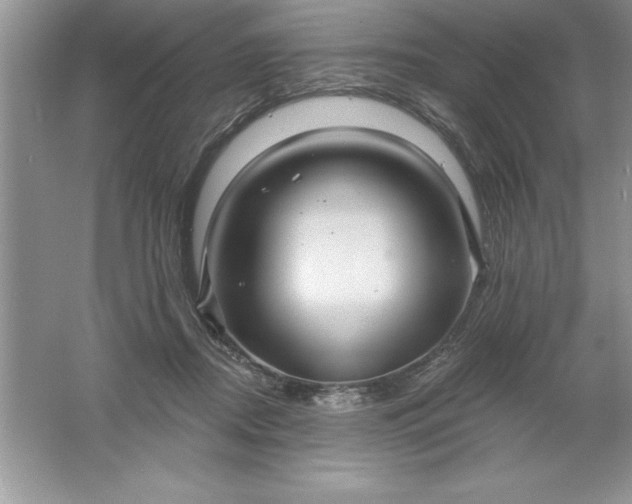 X0000061750362200512161723