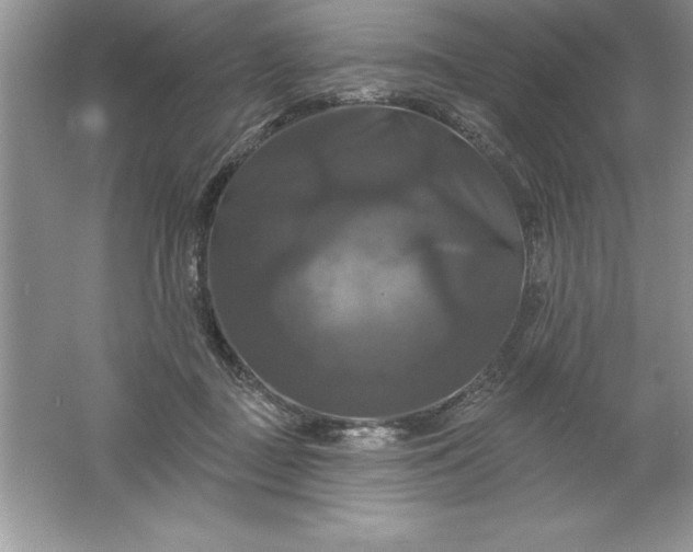 X0000061750363200512161723