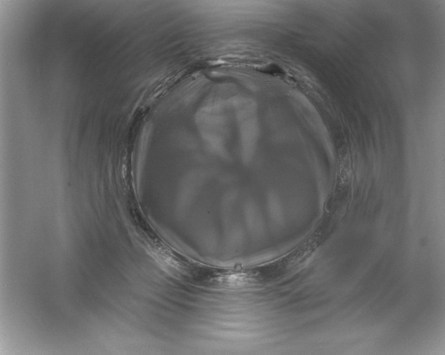 X0000061750365200512161723