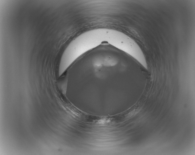 X0000061750366200512161723