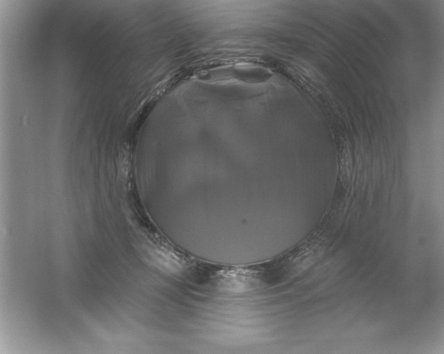 X0000061750367200512161723