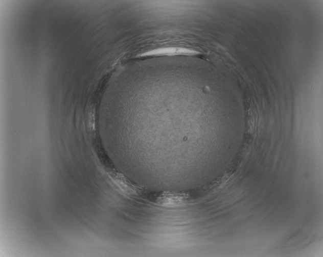 X0000061750368200512161723