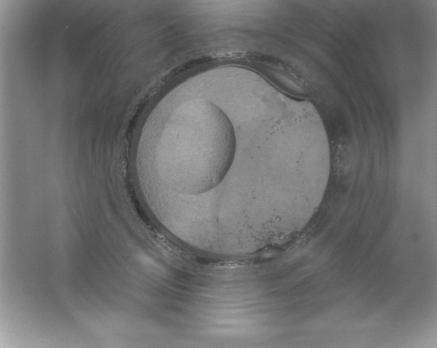 X0000061750370200512161723