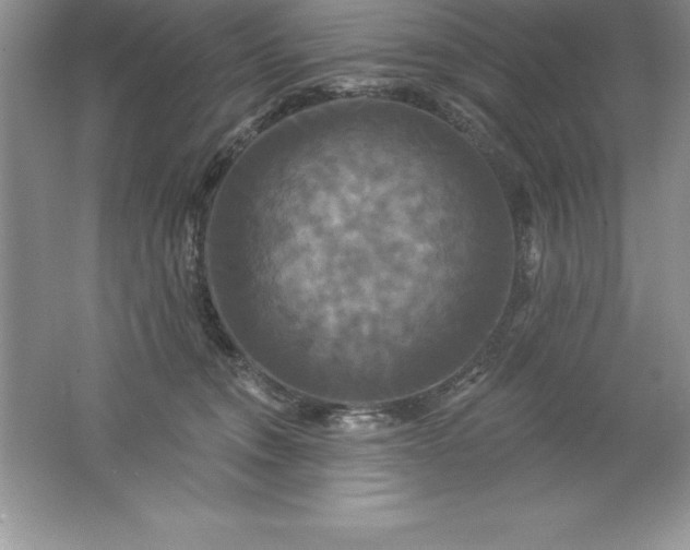 X0000061750372200512161723