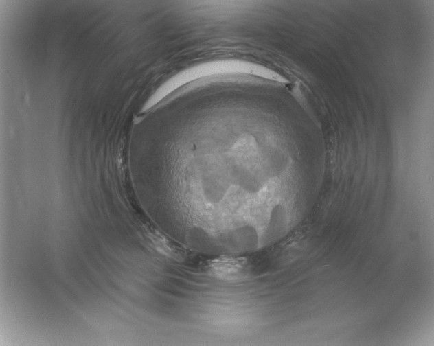 X0000061750373200512161723