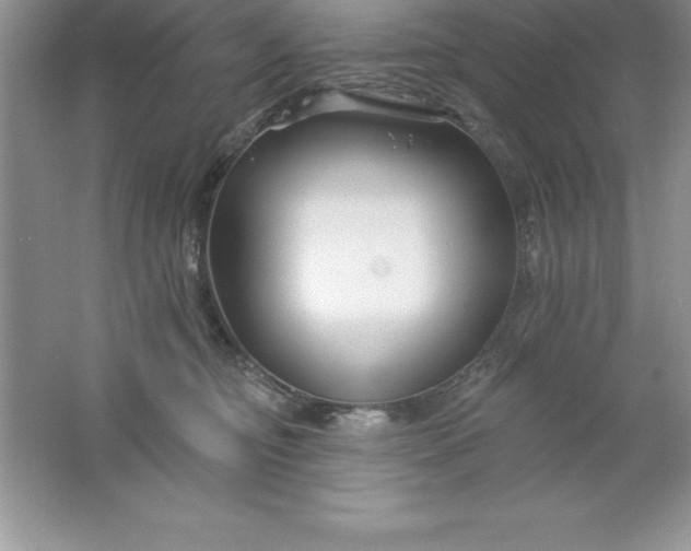 X0000061750374200512161723