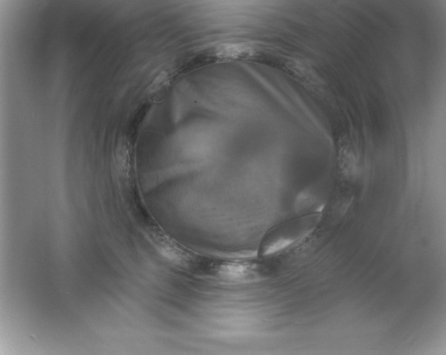 X0000061750375200512161723